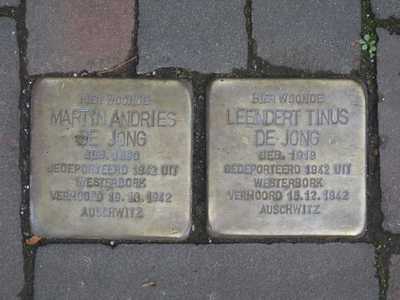 902795 Afbeelding van twee struikelstenen ('Stolpersteine') in het trottoir voor de woning Maliesingel 36 te Utrecht, ...